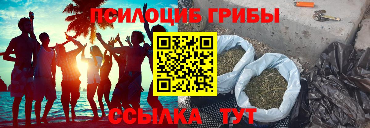 Галлюциногенные грибы прущие грибы  Вход с VPN  Ачхой-Мартан  Галлюциногенные грибы мухоморы 