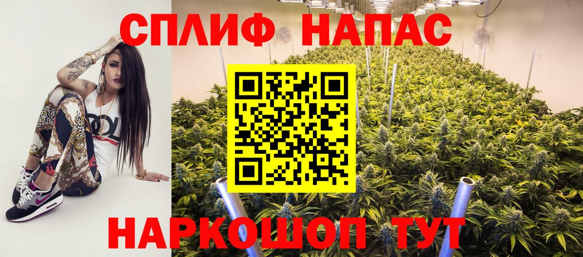 Ачхой-Мартан  МАРИХУАНА White Widow  Марихуана THC 21%  Вход с VPN  Каннабис сатива 